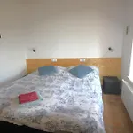 Lo Scricciolo Апартаменты *